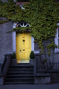porta, giallo, edera, gradini, scala, scale, rampicante, verde, scalini