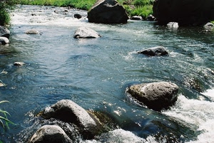 acqua, sassi, massi, fiume, torrente, pietre, erba, rocce, corrente, schiuma
