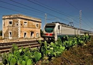 treno, fichi, binari, stazione, fili, abbandono, ferrovia, verde