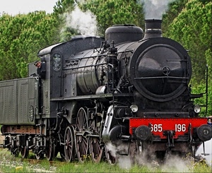 locomotiva, treno, vapore, alberi, nero, numeri, rosso, fumo