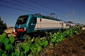 treno, verde, fili, locomotore, cactus, ferrovia, fichi, locomotiva