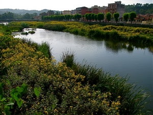 fiume, alberi, acqua, fiori, case, piante, panorama