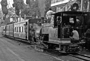 treno, vagoni, bianconero, locomotiva, binari, stazione, vapore, persone, fumo, macchinista, ferrovia, rotaie, alberi