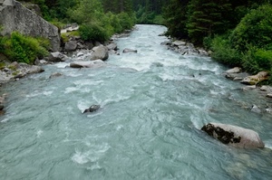 acqua, fiume, torrente, alberi, verde, sassi, massi, pietre, rocce, corrente
