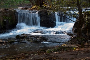 acqua, cascata, fiume, alberi, rami, torrente, rocce, cascate, foglie, paesaggio, natura, albero, salto, piante, bosco