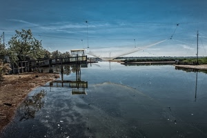 acqua, cielo, alberi, riflesso, rete, reti, riflessi, pontile, azzurro, pesca, mare, fiume, nuvole, lago, pescare, laguna, pali, trabucco