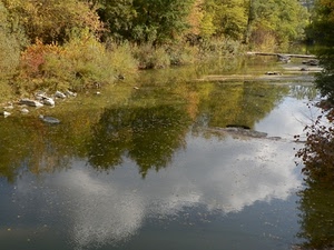 acqua, fiume, riflesso, nuvole, alberi, sassi, riflessi, torrente, natura