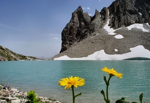 lago, fiori, montagna, neve, giallo, acqua, margherite, ghiaccio, gialli