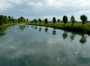 alberi, acqua, fiume, riflessi, nuvole, cielo, riflesso, verde