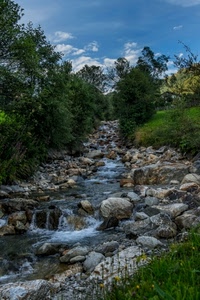 acqua, sassi, alberi, torrente, ruscello, fiume, verde, cielo