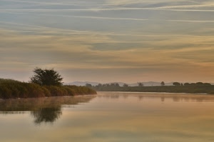 fiume, acqua, riflesso, albero, nuvole, lago, cielo, tramonto, riflessi