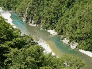 fiume, acqua, alberi, verde, bosco, sabbia