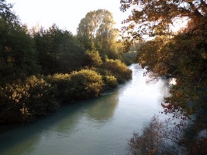 fiume, alberi, acqua, cespugli, rami, verde, controluce, autunno, riflessi