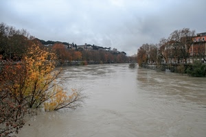 fiume, alberi, acqua, cielo, case, piena, foglie, nuvole, autunno, rami, grigio, corrente, maltempo
