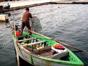 barca, pescatore, acqua, remi, verde, nasse, mare, legno, rosso, molo, pesca, porto, reti