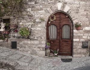 porta, vasi, fiori, zerbino, portone, muro, pietre, salita, piante