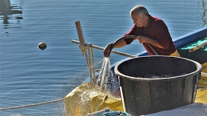 pescatore, acqua, mare, barca, giallo, boa, uomo, rete, reti, corda, mastello, tubo, gomma, persona, tinozza
