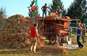 bandiera, uomini, alberi, trebbiatrice, paglia, fieno, contadini, tricolore, persone, ruote, verde, lavoro, cinghia, grano, erba, lavoratori, mietitura, rosso, agricoltori, covone, campagna