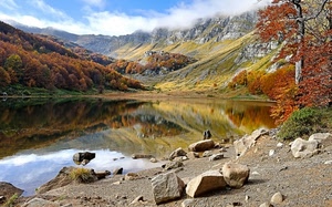 lago, montagna, autunno, riflesso, alberi, acqua, riflessi, montagne, sassi, panorama