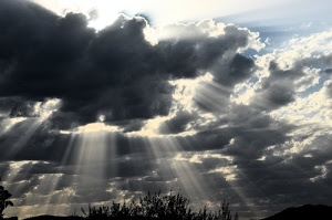 raggi, nuvole, cielo, alberi, nero, sole, piante, bianco, foglie, grigio, controluce, rami