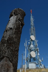 tronco, antenne, cielo, lampione, antenna, azzurro, parabole, legno, corteccia, traliccio, contrasto, albero, cerchi, blu