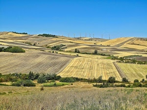 campi, colline, verde, cielo, alberi, giallo, azzurro, panorama, erba, piante, agricoltura, pale, campagna, paesaggio, coltivazioni, eoliche, prati, collina
