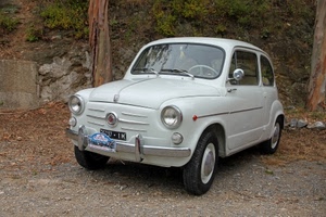 seicento, bianca, automobile, targa, fiat, macchina, bianco, epoca, auto, cinquecento