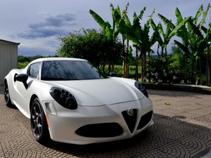 automobile, alberi, bianco, bianca, auto, piante, verde, ruote, sportiva, alfa, palme