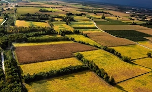 alberi, verde, giallo, campagna, marrone, campi, coltivazioni, panorama, paesaggio, piante, strade, agricoltura, terreni