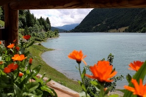 lago, fiori, arancione, acqua, verde, staccionata, arancio, costa, alberi