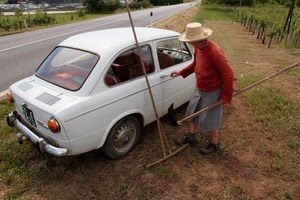 cappello, strada, rastrello, contadina, auto, donna, automobile, falce, fiat, bianco, viti, erba, anziana, targa