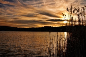 tramonto, nuvole, lago, canne, acqua, controluce, mare, cielo, sole