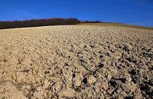 terra, alberi, cielo, zolle, azzurro, collina, verde, campagna, campo, marrone, campi, blu, bosco, paesaggio