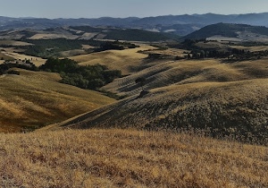 colline, alberi, cielo, panorama, erba, campi, paesaggio, verde, marrone, campagna, montagne, terra, prati, boschi, giallo, pendii, secca