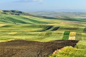 verde, colline, cielo, campi, campagna, terra, paesaggio, erba, arato, pali, marrone, giallo, panorama, coltivazioni, prato, prati, orizzonte, agricoltura, azzurro, nuvole