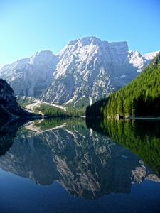 riflesso, lago, montagna, acqua, pineta, natura, alberi