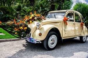 fiori, automobile, auto, alberi, ruote, piante, verde, giardino, matrimonio