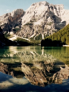 lago, montagna, riflesso, alberi, acqua, pineta