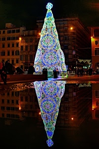albero, luci, luminarie, natale, acqua, riflesso, colori, notturno, notte, riflessi, finestre, fontana, case, piazza, palazzi, illuminazione, lampioni