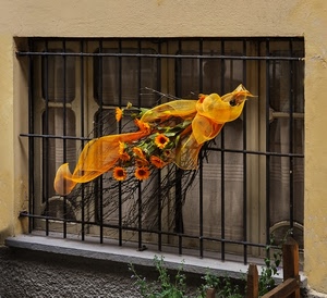 finestra, fiori, mazzo, inferriata, grata, arancione, arancio, tulle