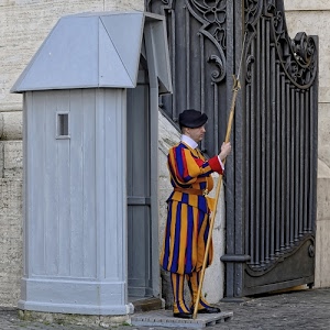 cancello, guardia, garitta, giallo, blu, rosso, svizzera, grigio, alabarda, lancia, divisa, righe, costume, uniforme, cappello, basco, ferro, sentinella, berretto, strisce