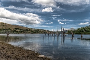 nuvole, acqua, lago, alberi, fiume, cielo, montagna, panorama, paesaggio, tronchi, riflesso