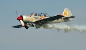fumo, elica, ali, cielo, aereo, coda, aeroplano, ruote, cabina, pilota, carrello, volare, acqua, timone, scritta