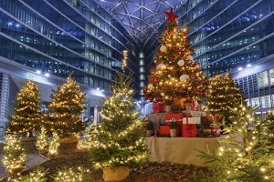 luci, alberi, pacchi, natalizio, natale, luminarie, abeti, stella, rosso, palle, palazzo, riflessi, doni, addobbi, grande, vasi, pacchetti