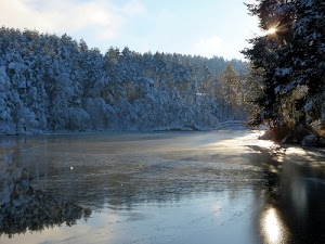 acqua, fiume, alberi, neve, sole, inverno, riflessi, ghiaccio, ponte, riflesso, cielo, bosco, luce, abeti, lago, rami