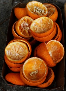 arance, semi, bucce, arancione, spremute, vassoio