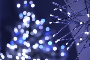 luci, blu, luminarie, sfocato, bianco, natale, led, lucine, buio, azzurro, fili, bokeh, notturno