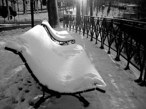 neve, panchine, ringhiera, alberi, inverno, bianco, bianconero, tronchi, orme, parco, segnali, auto, luce, giardino, ferro, case, sole, controluce