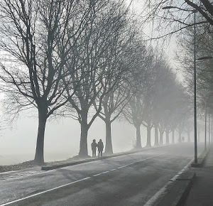 strada, nebbia, alberi, strisce, persone, inverno, bianconero, lampioni, rami, passanti, marciapiede, invernale, grigio, pali, due, viale