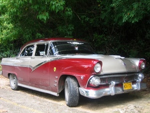 epoca, auto, automobile, rosso, alberi, rossa, targa, ruote, bicolore